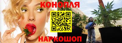 гидропоника Дубна