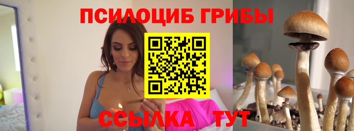 Кыштым  Галлюциногенные грибы Cubensis  Вход с VPN 